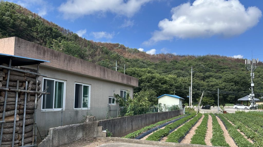 写真撮影で被災者支援ってどういうこと? 韓国の山火事被災地で出会った笑顔の理由 2 IMG 2409 trim
