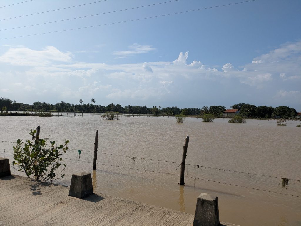 PXL 20251203 084427997.MP