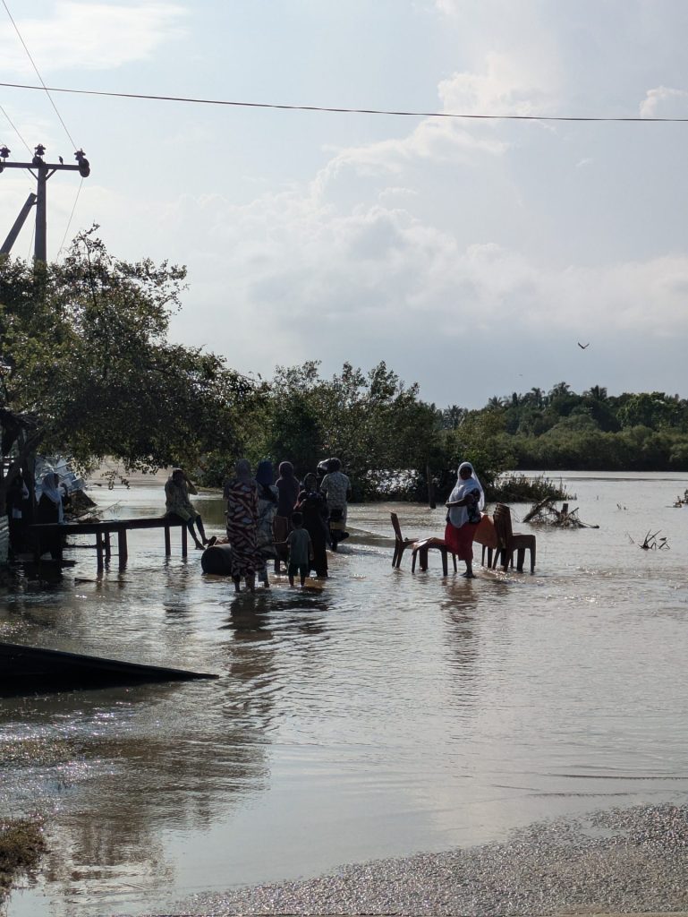 PXL 20251203 094226449