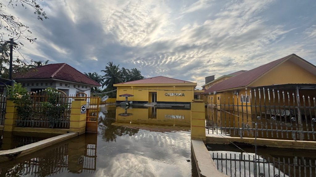 c70d12c1b7fd10b3fa1229692e9c69d9