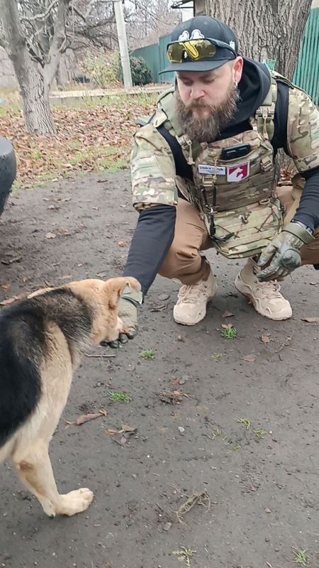 【ウクライナ】取り残されたペットを救助 3 4.16.11.2025 6 Dog Rescue
