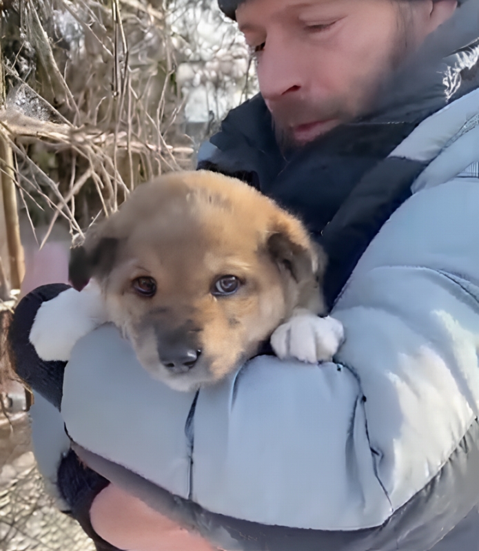 【ウクライナ】取り残されたペットを救助 4 ce7078e884f7f8a866028fca111421a4