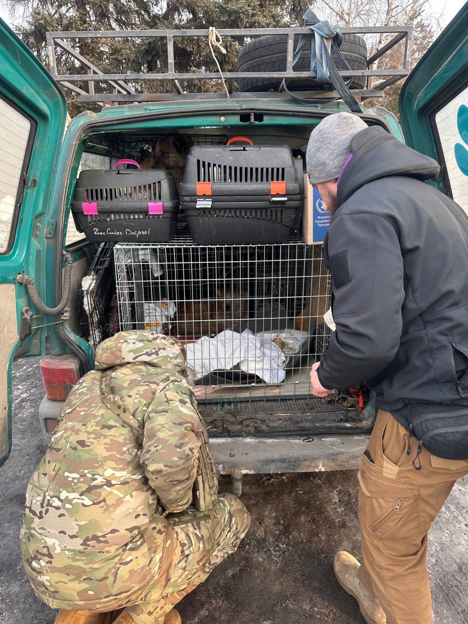 photo 2026 01 12 11 25 52