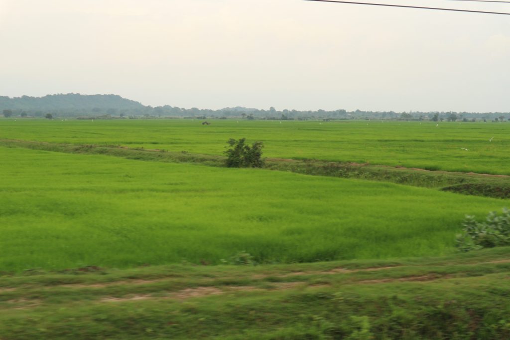 【スリランカ】「買えないけれど、必要なもの」を届けた支援 3 be1dc18a192c4edb4856ec0cac7b2925 1