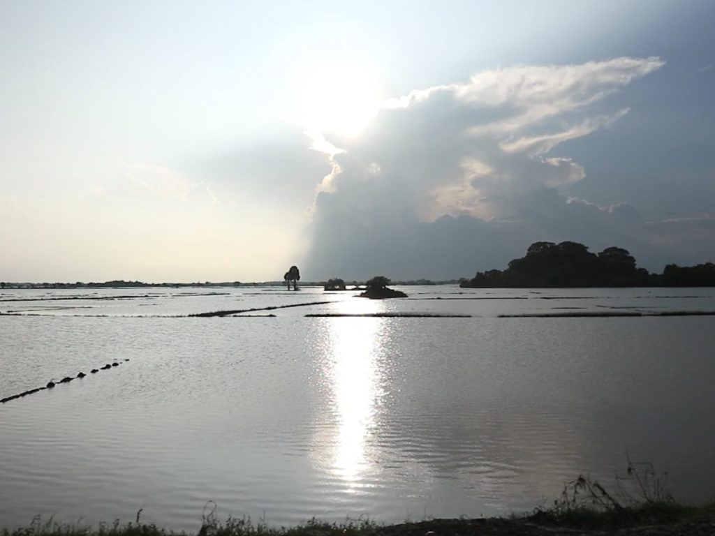 【スリランカ】「買えないけれど、必要なもの」を届けた支援 4 e9b0d82feb973845db3838f807187a69 1