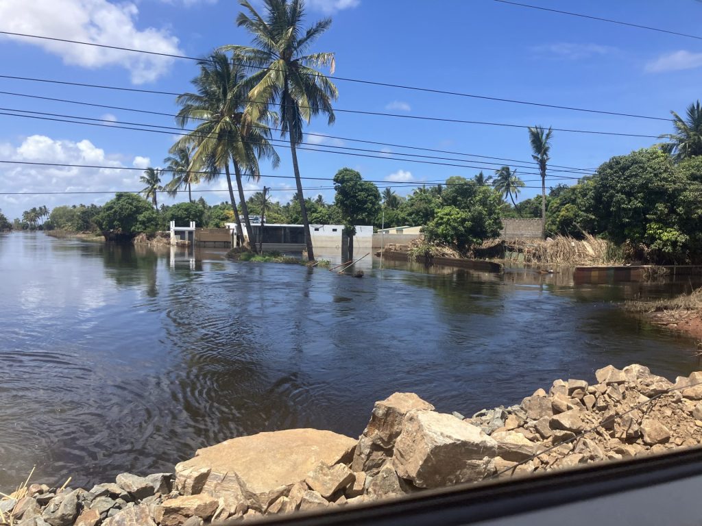 【モザンビーク洪水】被災から1ヵ月あまり、終わりの見えない避難の日々 3 IMG 6267