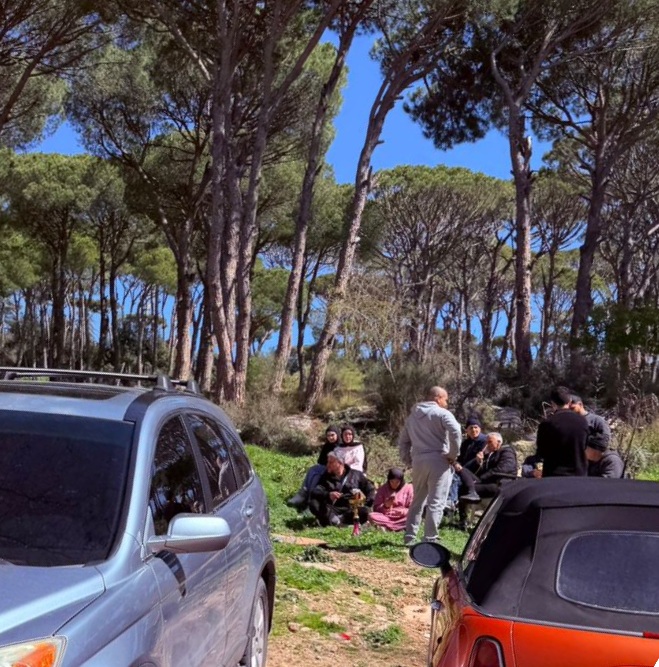 3cb9d42f95068beaf86b23e84c69ae5f