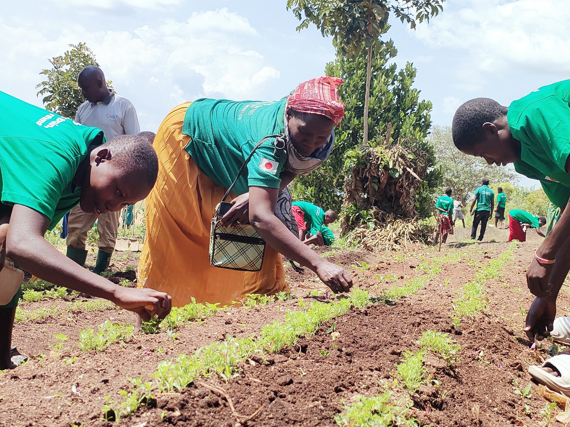 a6ccd5c8a4e90fde4cc4cce8e3f961b9