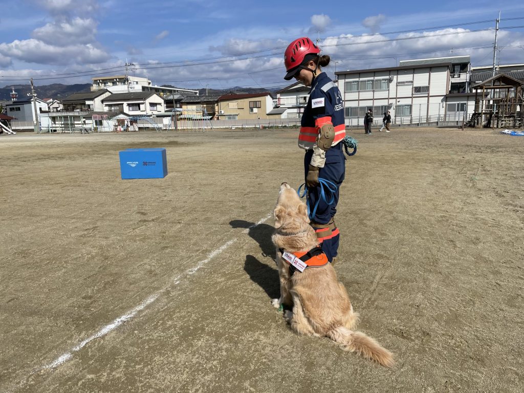 e3eda8ffbd1433a8963d930863c592be